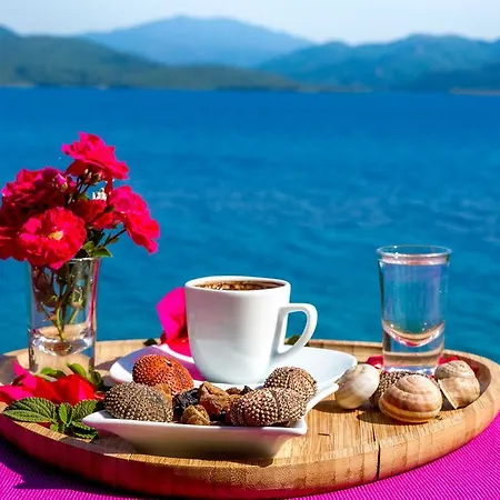 Miracle * Camlikoy